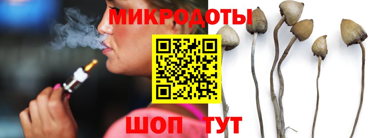 Губаха  где можно купить   Вход с VPN  Псилоцибиновые грибы прущие грибы 