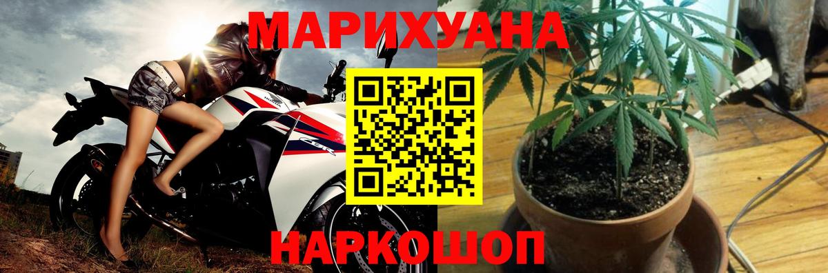 Губаха  Бошки Шишки индика  Бошки Шишки план  Вход с VPN  Бошки марихуана Bruce Banner 
